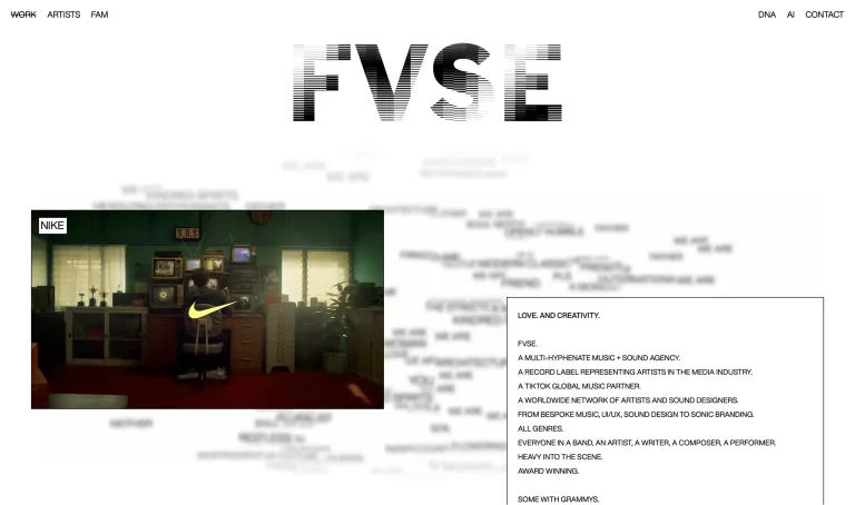 FVSE project image