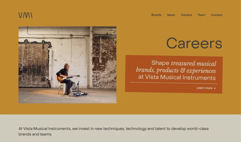 Vista Musical Instruments project image